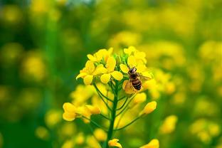 神一场鬼几场定律？湖人首节三分6中1 仅雷迪什命中一个